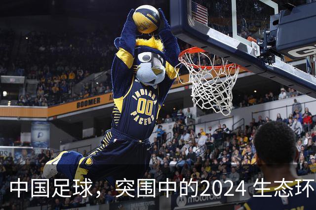 中国足球，突围中的2024 生态环境将实现好转